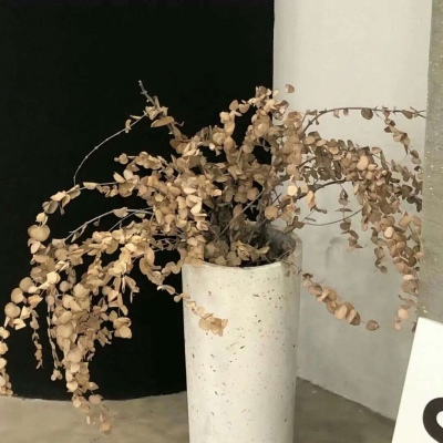 Furry插画色彩灵感兽圈社群